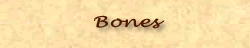 Bones